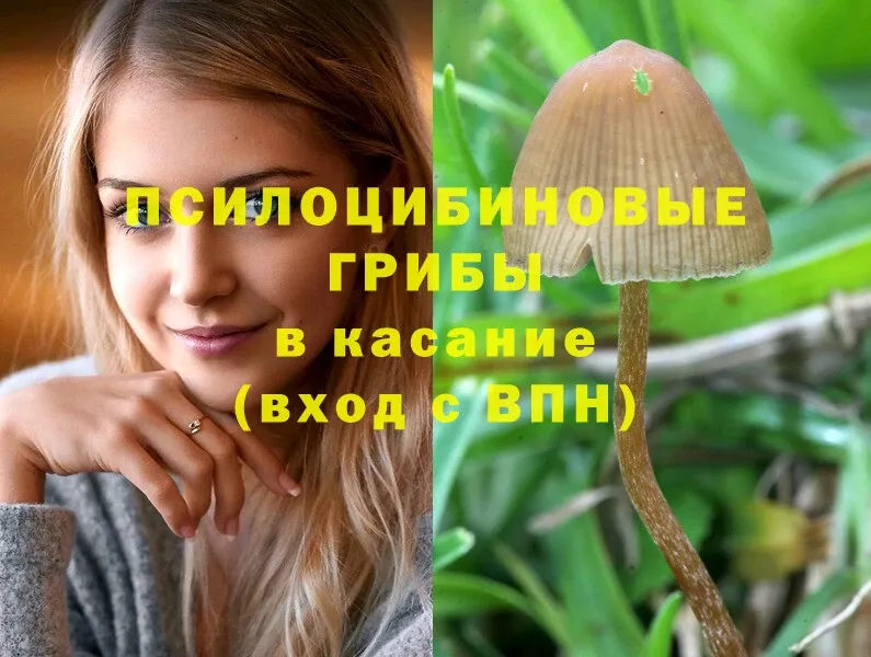 Псилоцибиновые грибы MAGIC MUSHROOMS  Дивногорск 